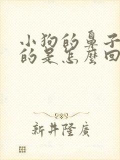 小狗的鼻子干干的是怎么回事