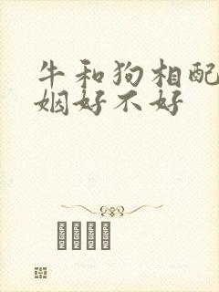 牛和狗相配吗婚姻好不好