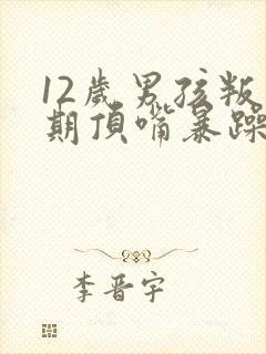 12岁男孩叛逆期顶嘴暴躁发脾气