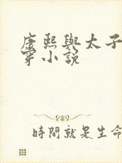 康熙与太子妃清穿小说