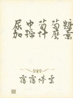 尿中葡萄糖2个加号什么意思