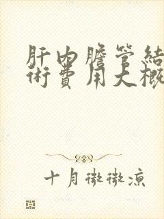 肝内胆管结石手术费用大概多少钱