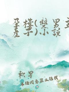 孕楼(双男主,产子)小说