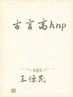 古言高hnp