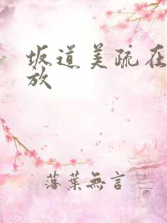 坂道美疏在线播放