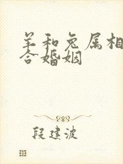 羊和兔属相合不合婚姻