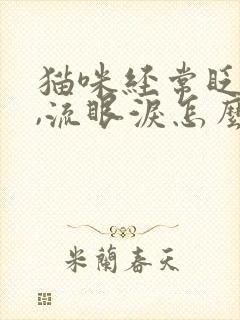 猫咪经常眨眼睛,流眼泪怎么回事