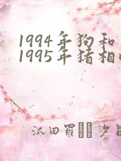 1994年狗和1995年猪相配婚姻如何