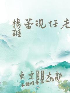 杨蕾现任老公是谁