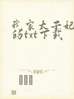 我家太子妃超凶的txt下载