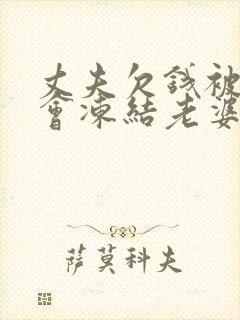 丈夫欠钱被起诉会冻结老婆的资金吗