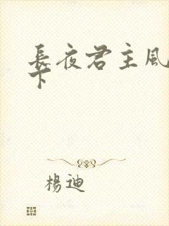 长夜君主风凌天下