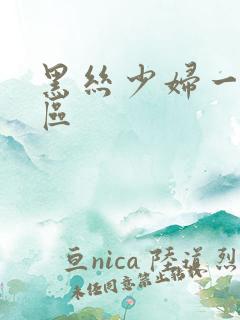 黑丝少妇一二三区