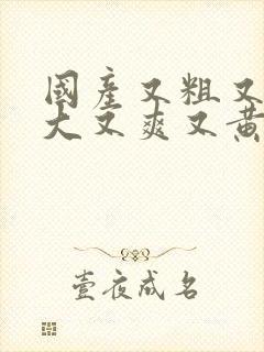 国产又粗又猛又大又爽又黄