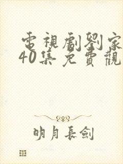 电视剧刘家媳妇40集免费观看