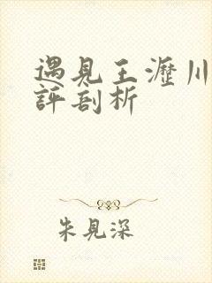 遇见王沥川的剧评剖析