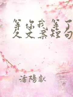 等你我等了那么久文案短句