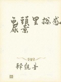 龟头里总感觉有尿意