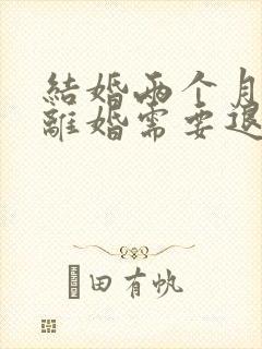 结婚两个月家暴离婚需要退彩礼吗