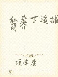 红岩下追捕剧情简介