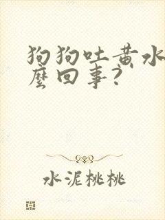 狗狗吐黄水是怎么回事?