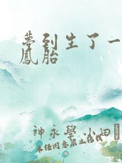 梦到生了一对龙凤胎