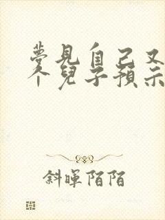 梦见自己又生了个儿子预示着什么