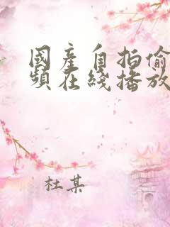 国产自拍偷拍视频在线播放