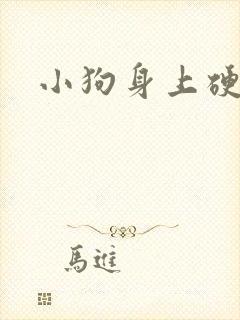 小狗身上硬块