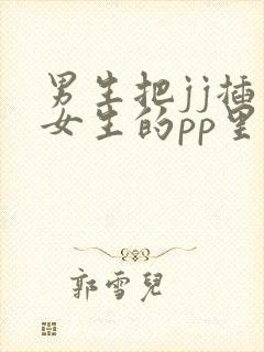 男生把jj插入女生的pp里