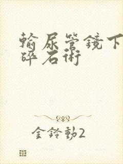 输尿管镜下激光碎石术