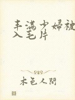 丰满少妇被烈进入毛片