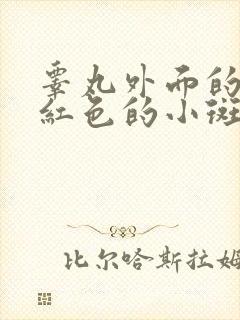 睾丸外面的皮长红色的小斑点