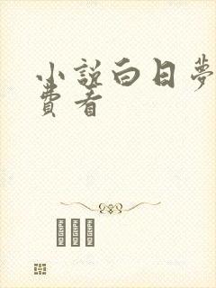 小说白日梦我免费看