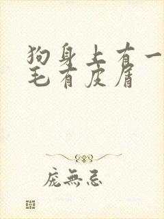 狗身上有一块掉毛有皮屑