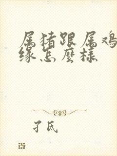 属猪跟属鸡的姻缘怎么样