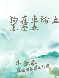 狗在车轮上拉尿怎么办