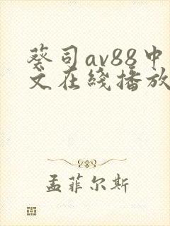 葵司av88中文在线播放
