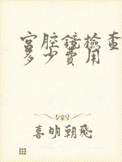 宫腔镜检查需要多少费用