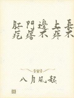 肛门边上长个硬疙瘩不疼不痒