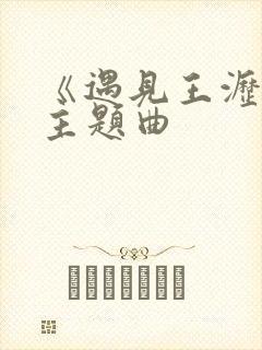 《遇见王沥川》主题曲