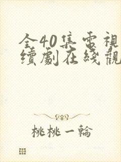 全40集电视连续剧在线观看