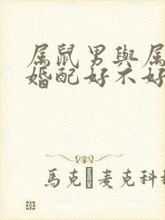 属鼠男与属牛女婚配好不好