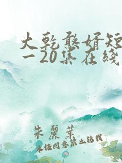 大乾憨婿短剧1一20集在线看