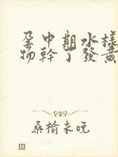 孕中期水样分泌物干了发黄