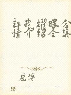 许我耀眼分集剧情介绍全集