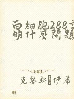 白细胞288说明什么问题