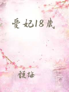 爱妃18岁