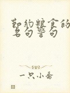 节约粮食的名言名句警句