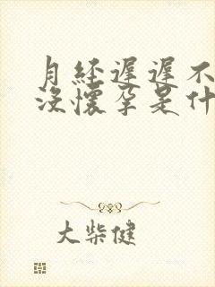 月经迟迟不来又没怀孕是什么原因